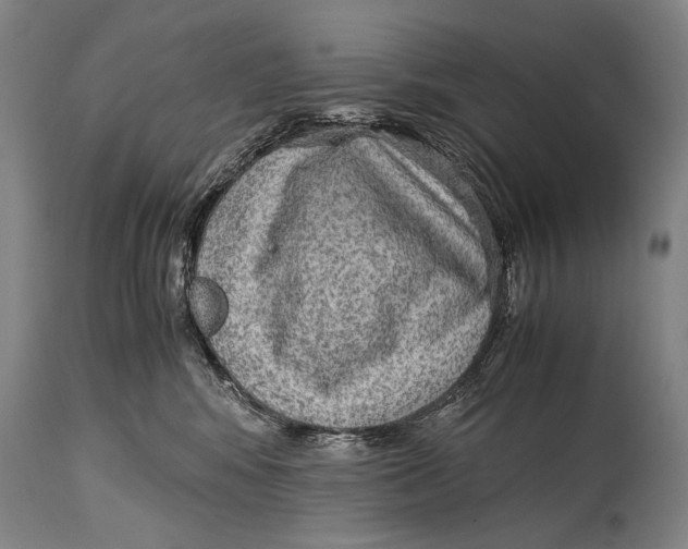 X0000114680424200911121500