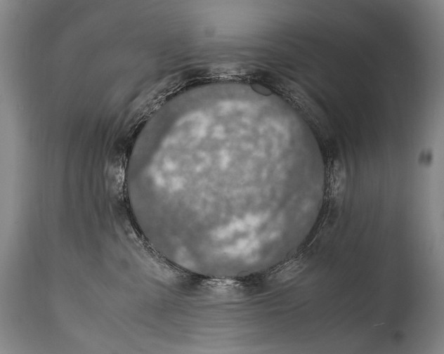 X0000114680427200911121500