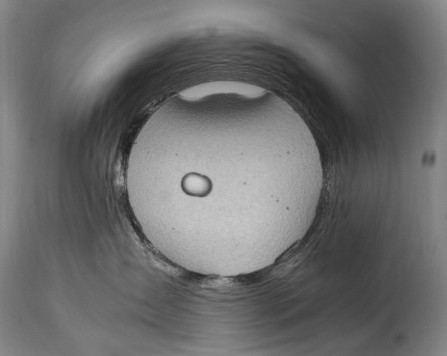 X0000114680431200911121500