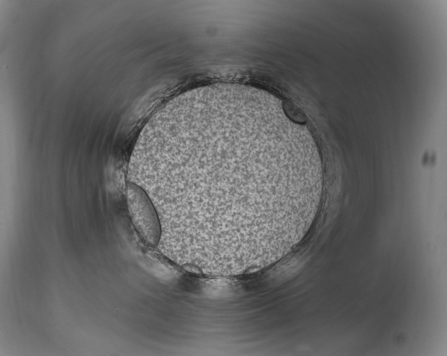 X0000114680432200911121500