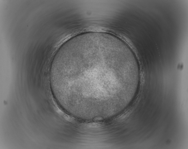 X0000114680433200911121459
