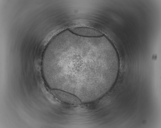 X0000114680434200911121459
