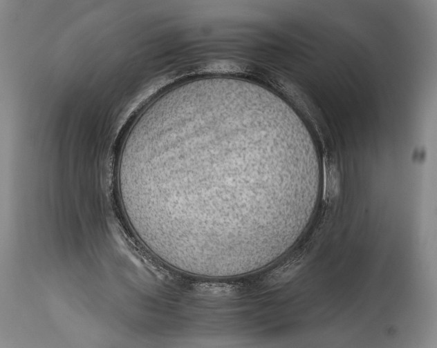 X0000114680435200911121459