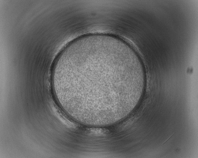 X0000114680439200911121459