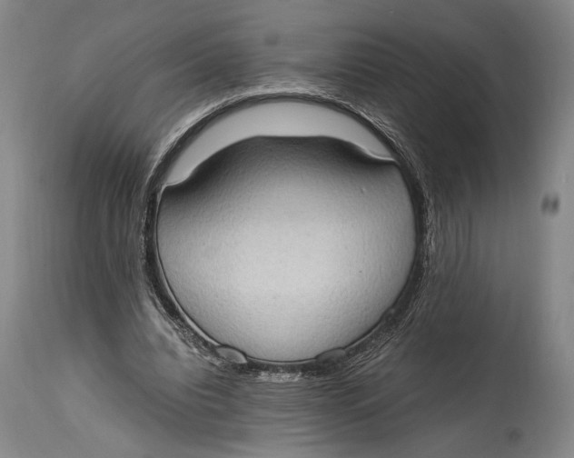 X0000114680440200911121500