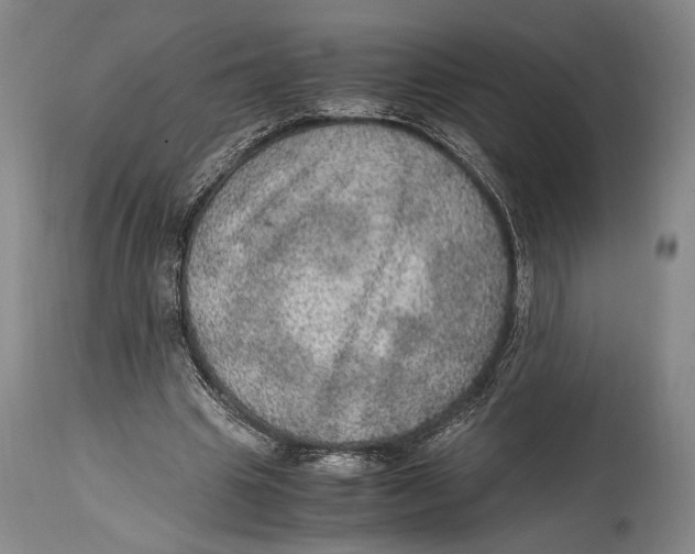 X0000114680441200911121500