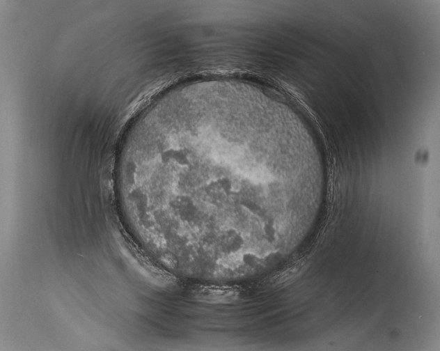 X0000114680443200911121500