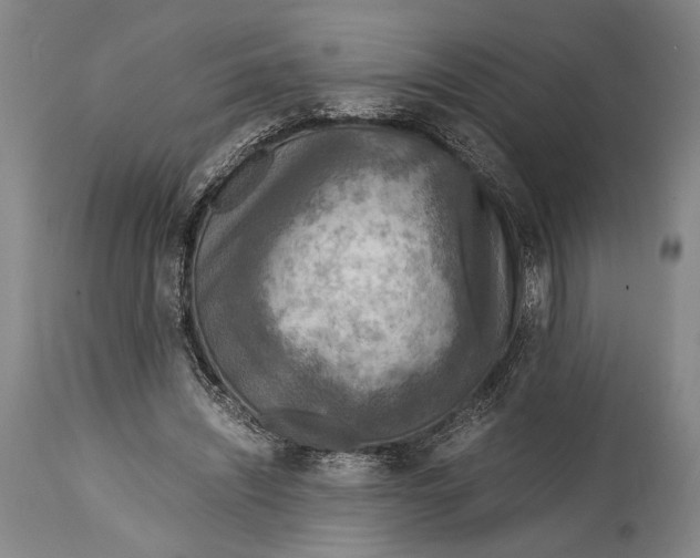 X0000114680444200911121500