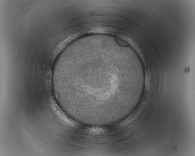 X0000114680445200911121500