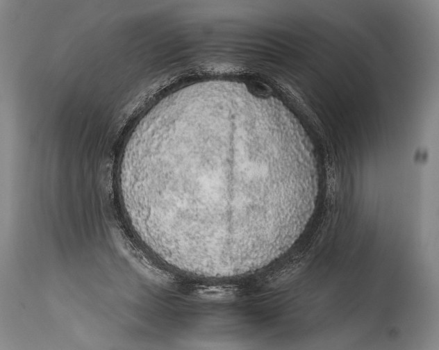 X0000114680447200911121500