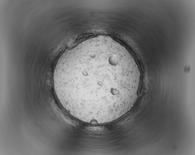 X0000114680449200911121500