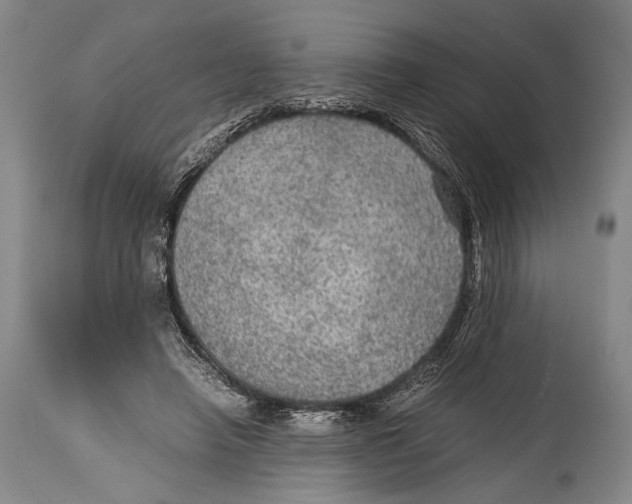 X0000114680450200911121500