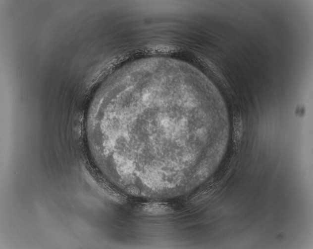 X0000114680451200911121500