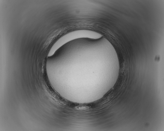 X0000114680452200911121500