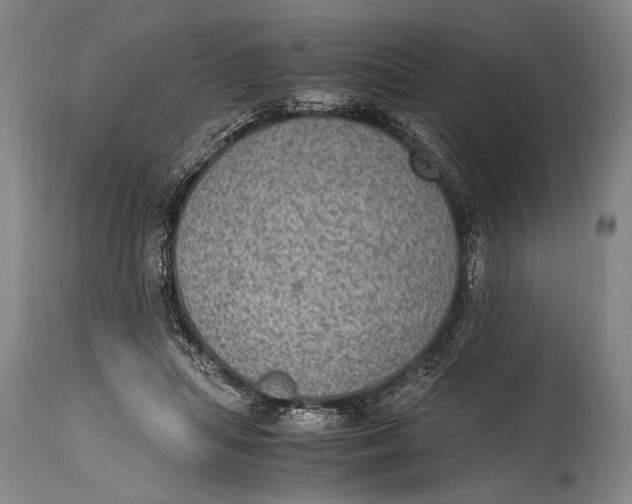 X0000114680455200911121500
