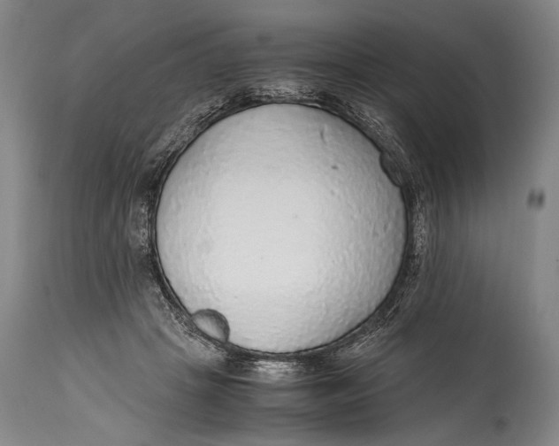 X0000114680457200911121500