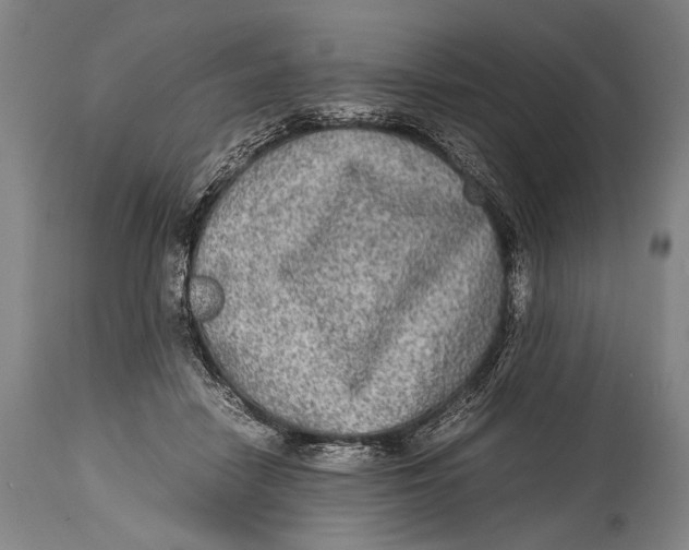 X0000114680458200911121500