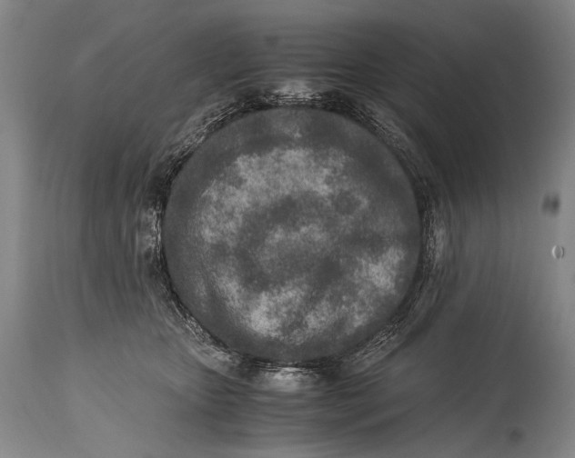 X0000114680467200911121500