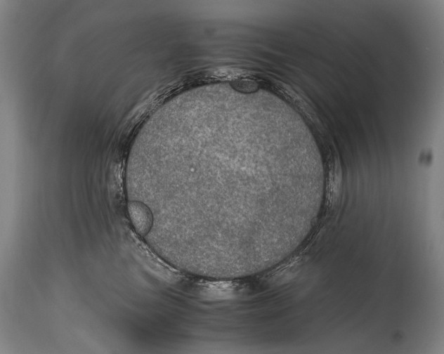 X0000114680473200911121500