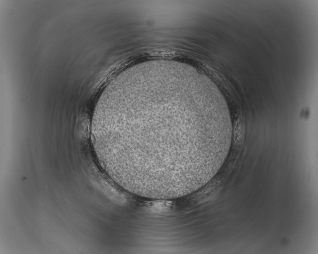 X0000114680474200911121500