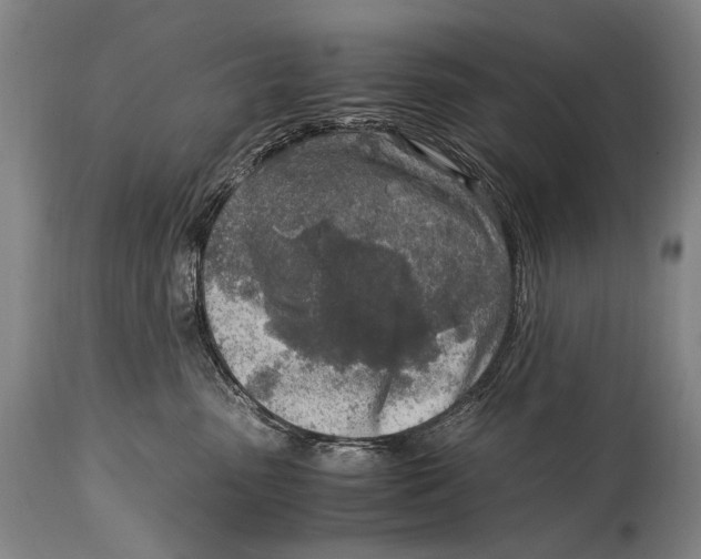 X0000114680475200911121500