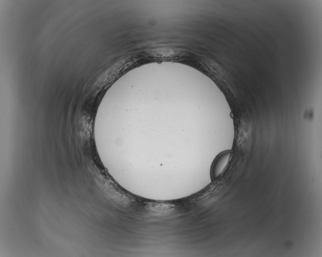 X0000114680476200911121500