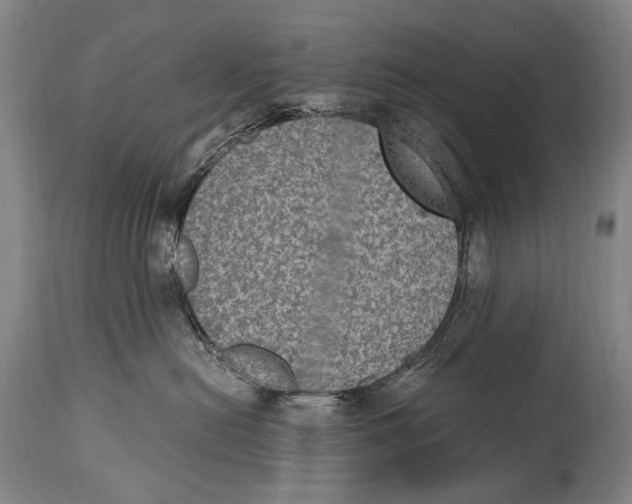 X0000114680478200911121500