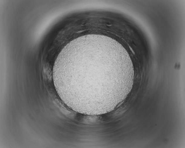 X0000114680479200911121500