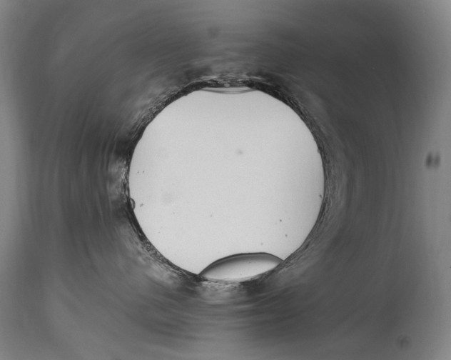 X0000114680480200911121500