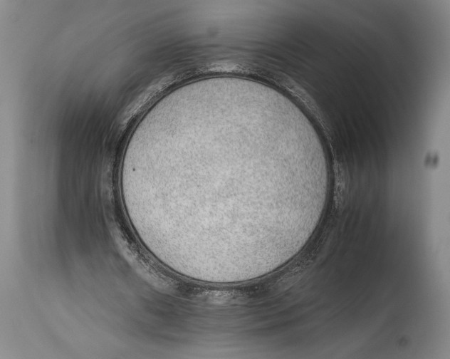 X0000114680482200911121459