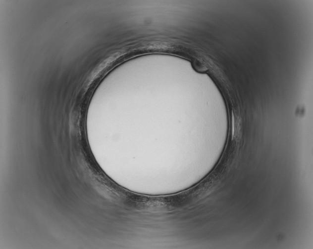 X0000114680483200911121459