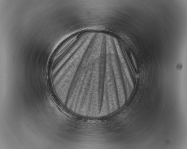 X0000114680484200911121459