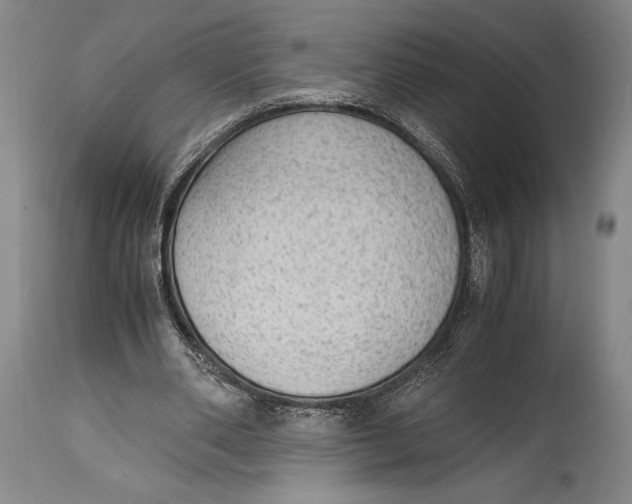 X0000114680486200911121459