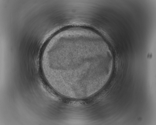 X0000114680488200911121459