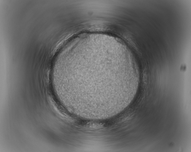 X0000114680491200911121459