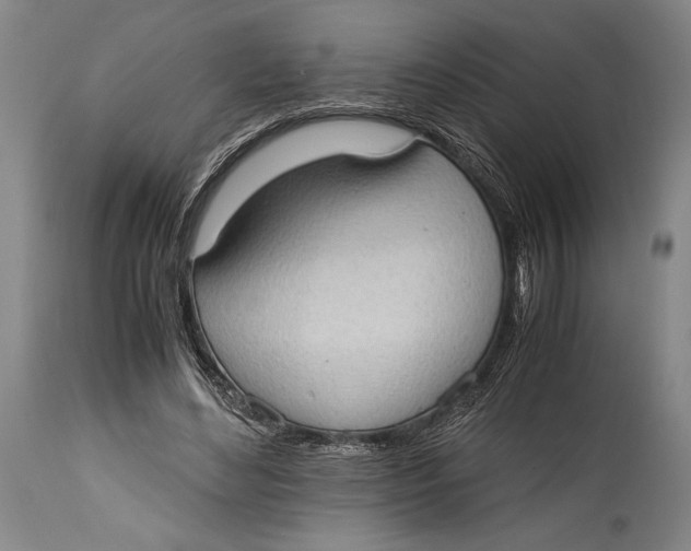 X0000114680492200911121459