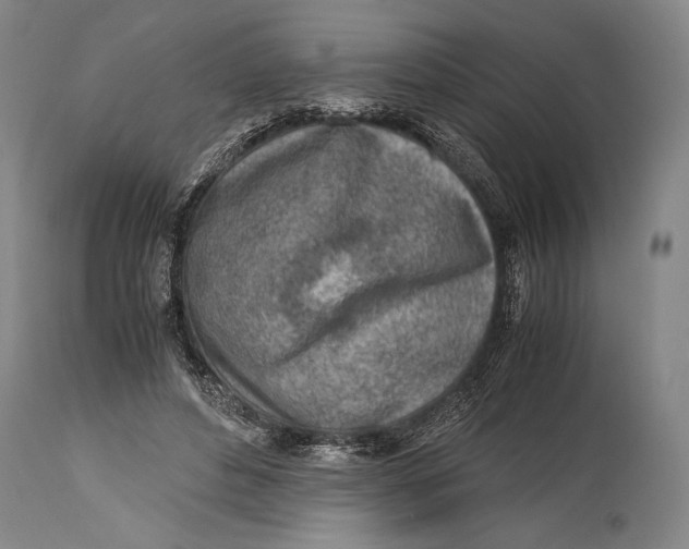 X0000114680496200911121459