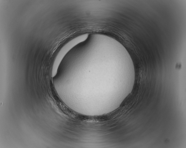 X0000114680500200911121459