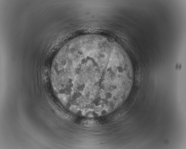 X0000114680503200911121459