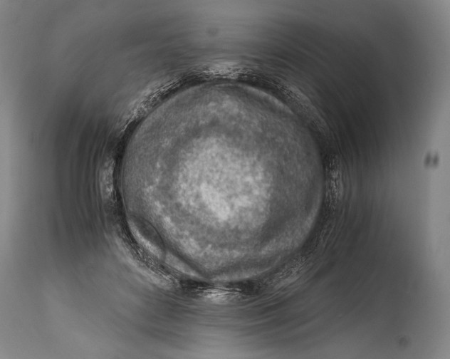 X0000114680504200911121459