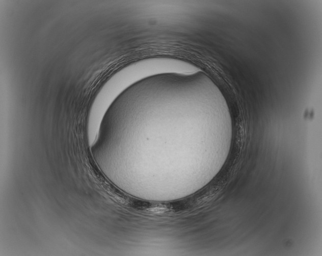 X0000114680505200911121459