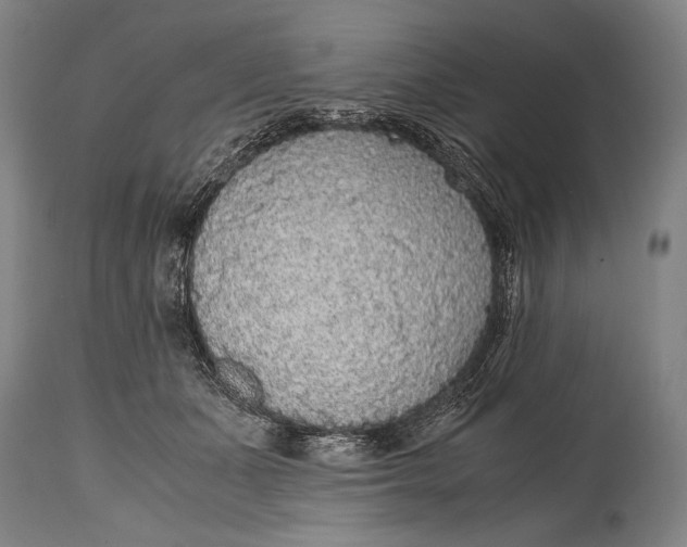 X0000114680511200911121459