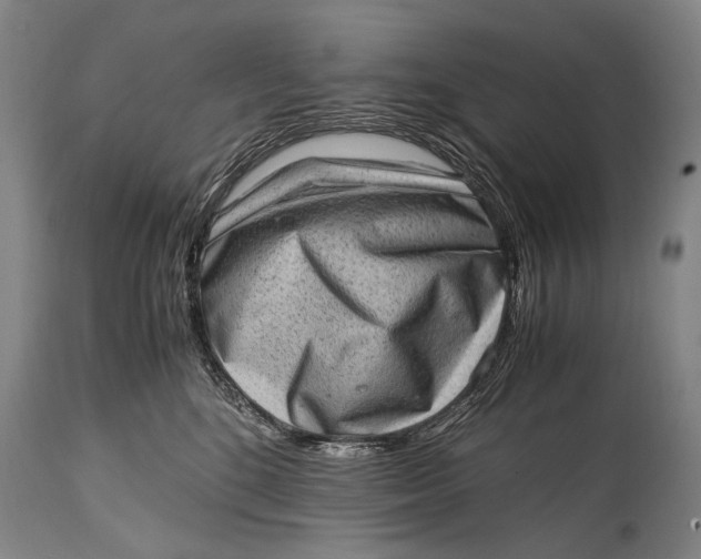 X0000114680520200911121459