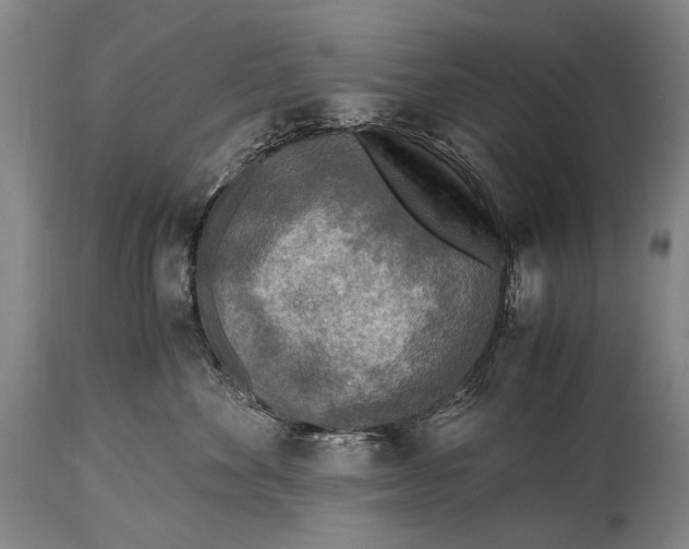 X0000114680524200911121459