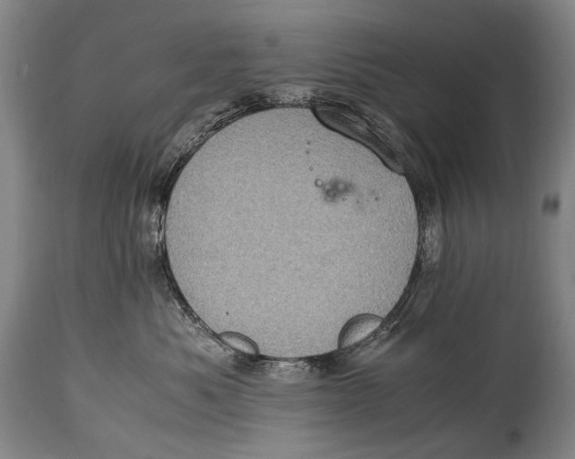 X0000114680525200911121459