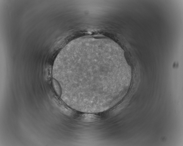 X0000114680528200911121459