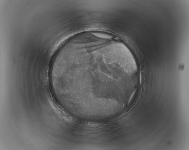 X0000114680531200911121458