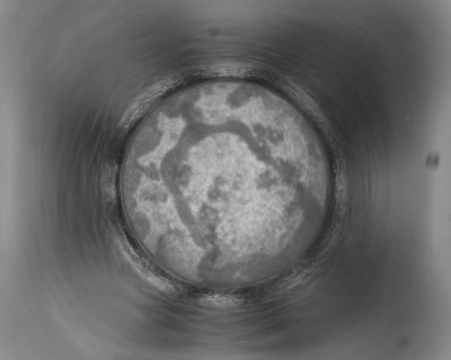 X0000114680537200911121458