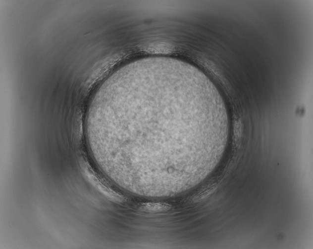 X0000114680541200911121458