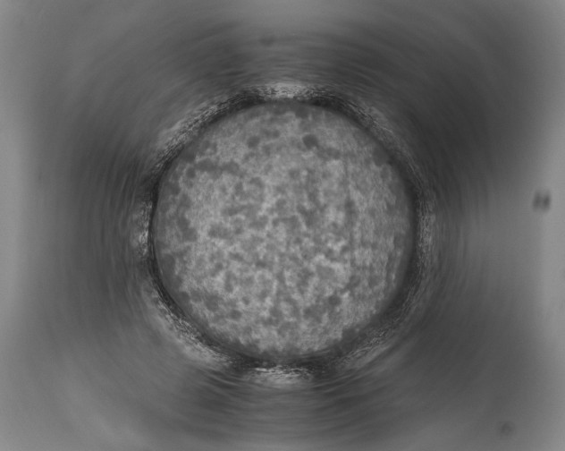 X0000114680545200911121458
